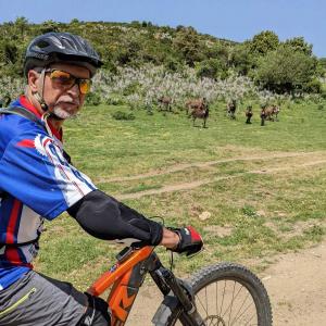 Tour guidati e-bike in Sardegna