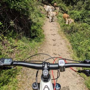 Tour guidati e-bike in Sardegna